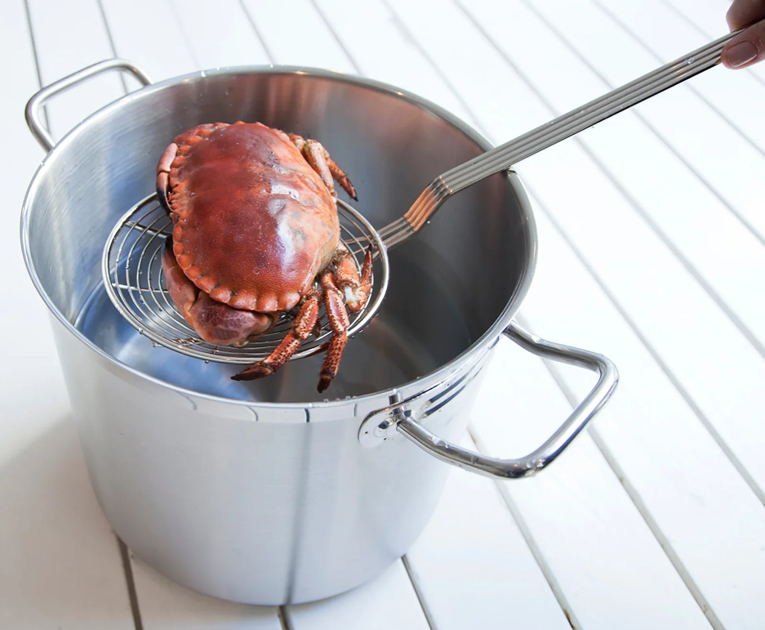 Exxent Flottyrslev Ø 18 cm