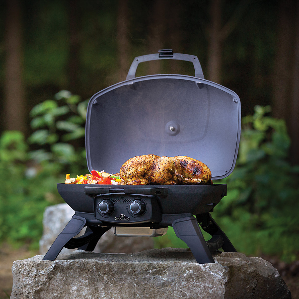 Napoleon Bärbar grill TQ285-1