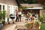 Napoleon Kolgrill PRO22K-L-3