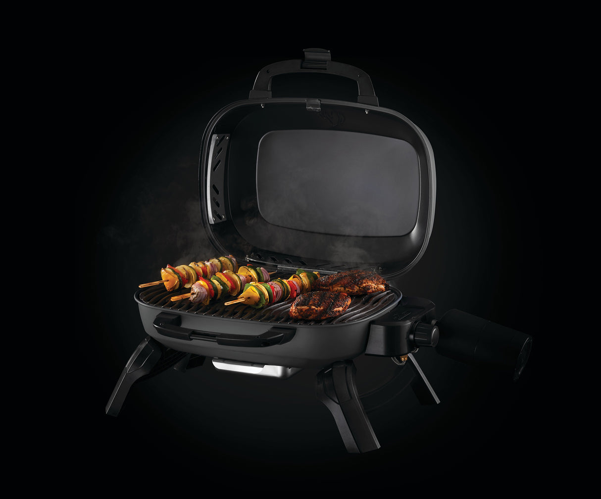 Napoleon Bärbar grill TQ240-1