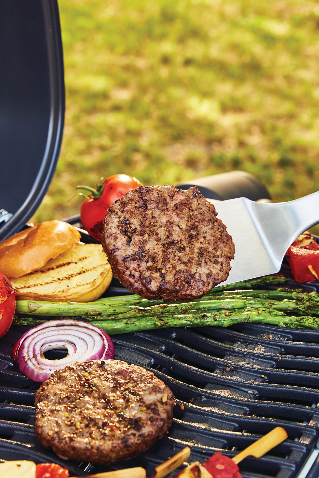Napoleon Bärbar grill TQ240-1